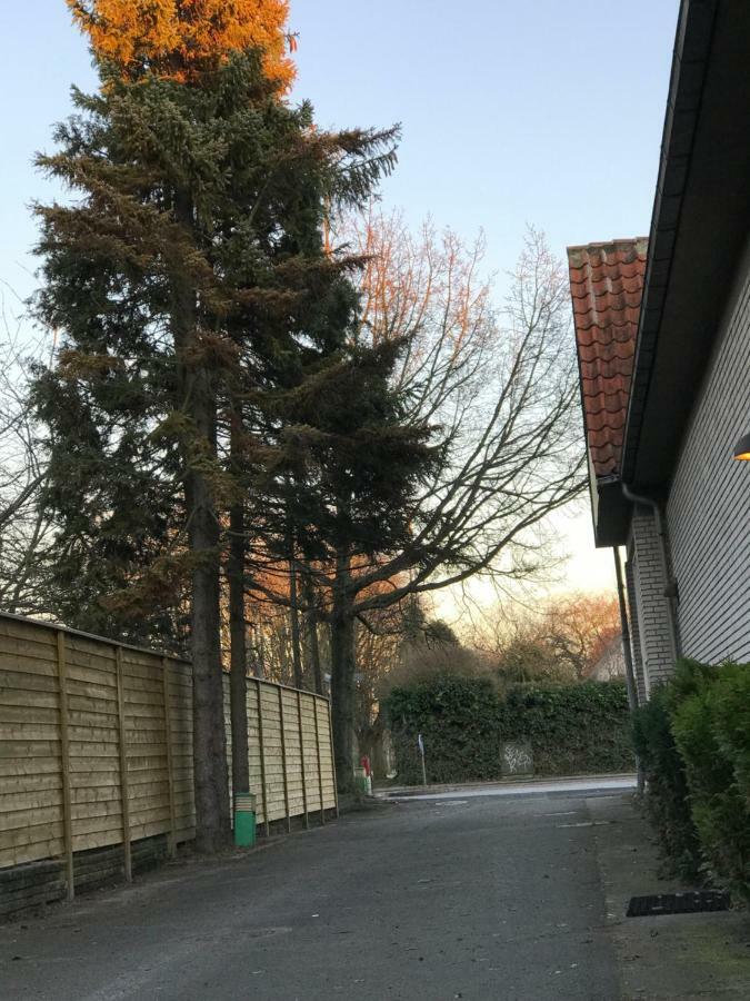 Apartment,858419324:JPEG