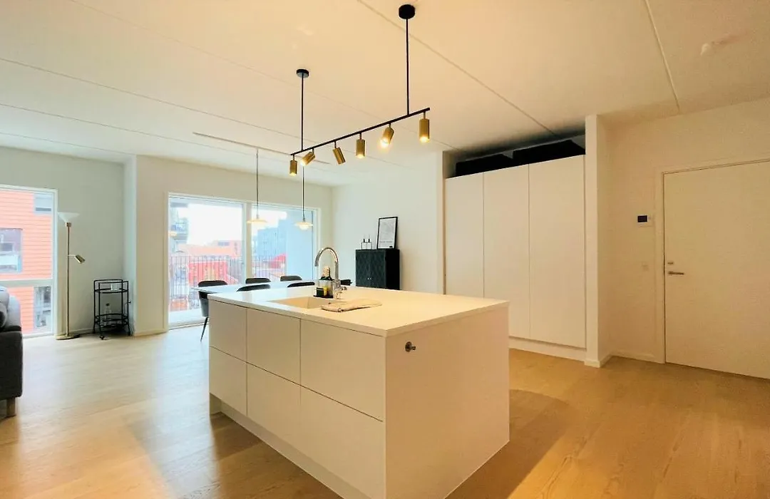 Apartmentincopenhagen Apartment 1463-1