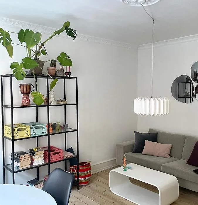 Central Two Bedroom Apartment-1