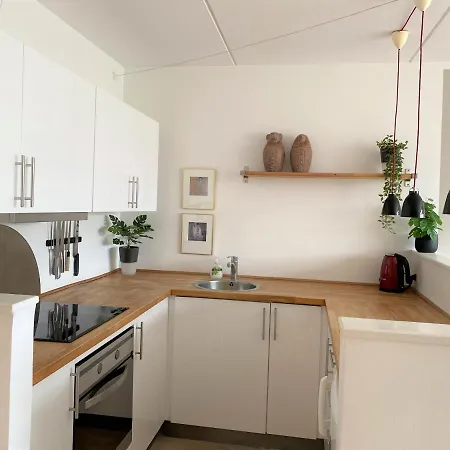 Sanders Platan - Petite One-Bedroom Apartment In Amazing Frederiksberg-3