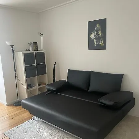 Private Spacious Room In Shared Apartment, Amager-3