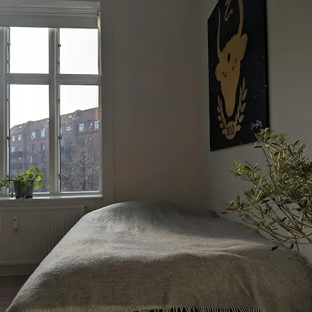 Apartmentincopenhagen Apartment 1126-2