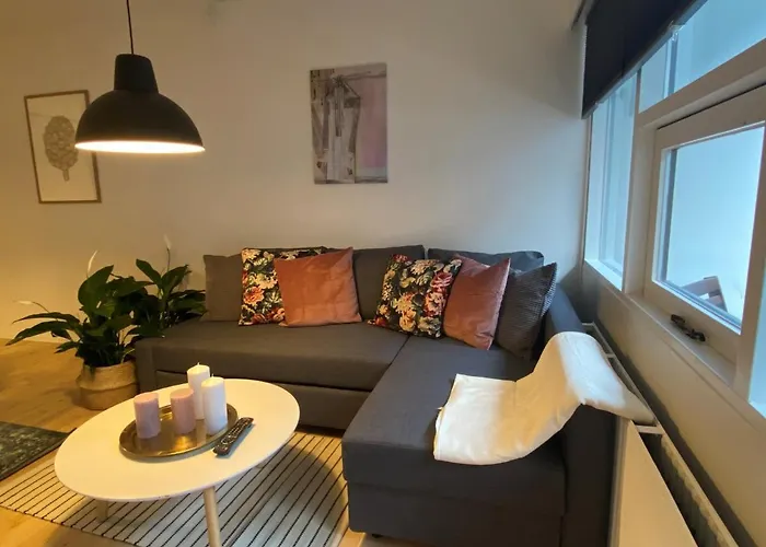 aday - Dagmargade - Studio Apartamento Copenhague admite animales
